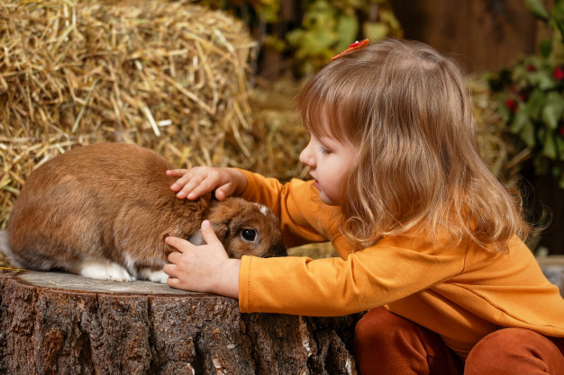¿Cómo ganarme la confianza de mi conejo? - niña acariciando conejo